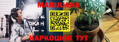 тгк Шадринск