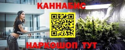 тгк Шадринск